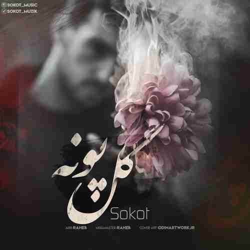 سکوت گل پونه